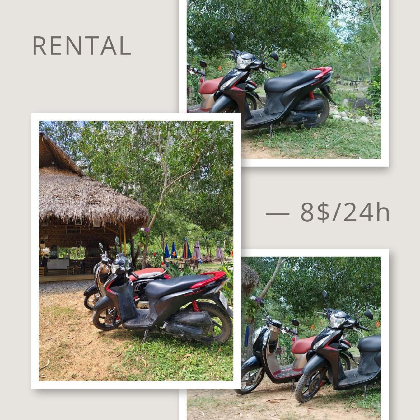 Kampot Camping - Eco Retreat Zewnętrze zdjęcie