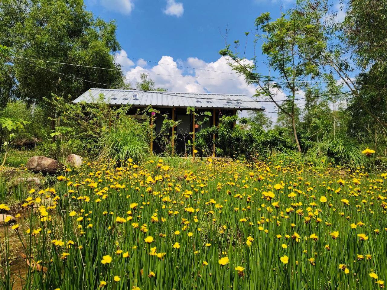 Kampot Camping - Eco Retreat Zewnętrze zdjęcie