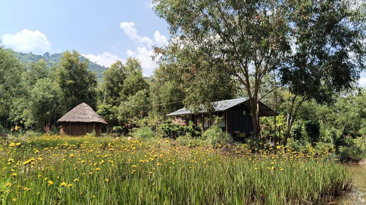 Kampot Camping - Eco Retreat Zewnętrze zdjęcie